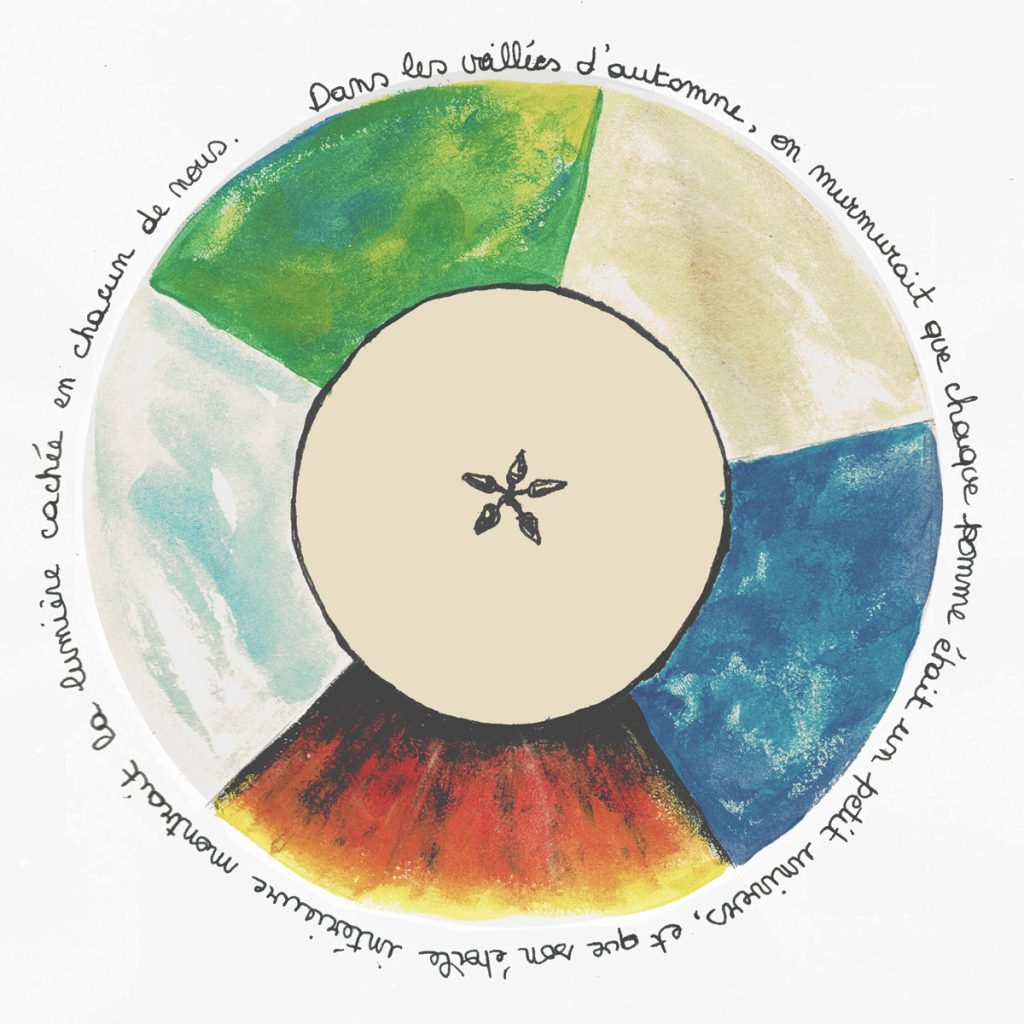 Contes et légendes : dans le coeur de la pomme se cache une étoile